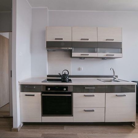 Apartamenty 1 Maja 45 エルブロンク エクステリア 写真
